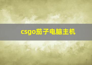 csgo茄子电脑主机