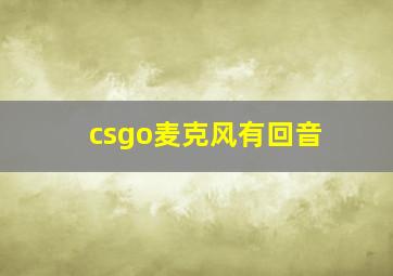 csgo麦克风有回音