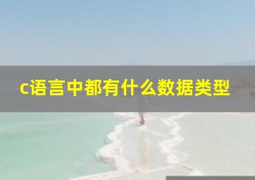 c语言中都有什么数据类型