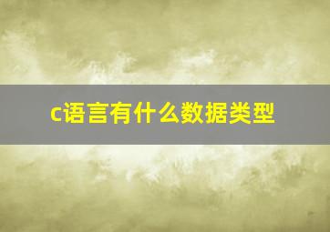 c语言有什么数据类型