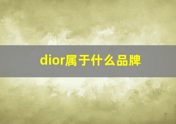 dior属于什么品牌