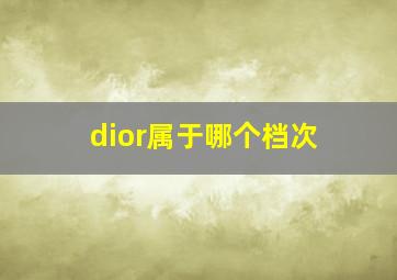 dior属于哪个档次