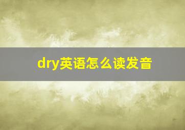 dry英语怎么读发音