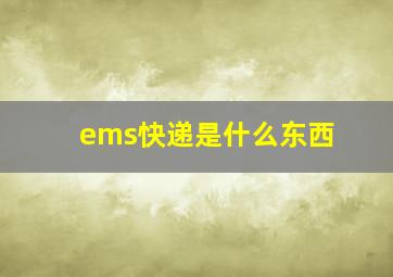 ems快递是什么东西