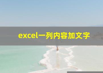 excel一列内容加文字