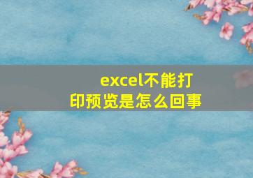 excel不能打印预览是怎么回事