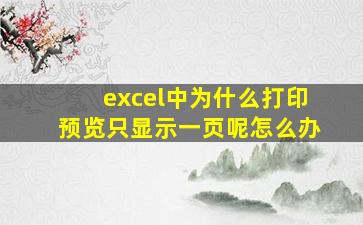 excel中为什么打印预览只显示一页呢怎么办