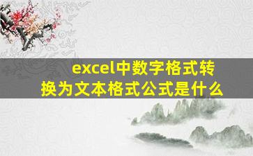 excel中数字格式转换为文本格式公式是什么