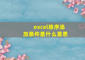 excel排序添加条件是什么意思