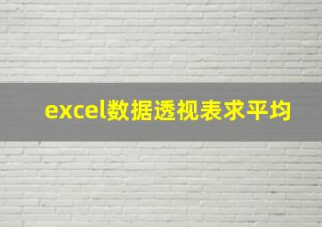 excel数据透视表求平均