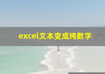 excel文本变成纯数字