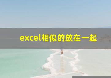 excel相似的放在一起