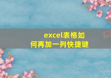 excel表格如何再加一列快捷键