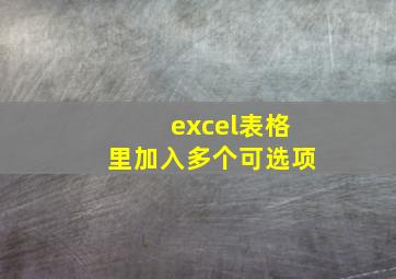 excel表格里加入多个可选项