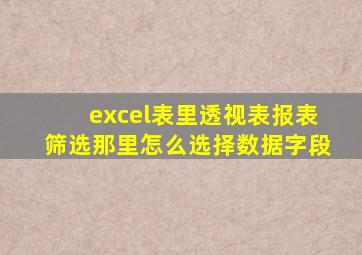 excel表里透视表报表筛选那里怎么选择数据字段