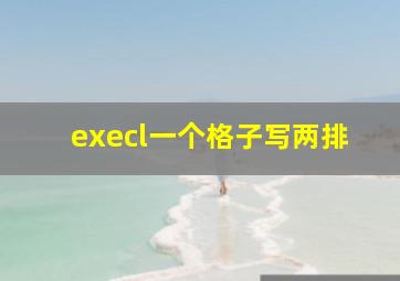 execl一个格子写两排