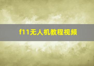 f11无人机教程视频