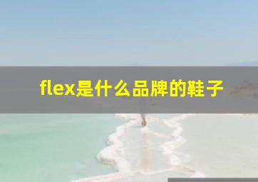 flex是什么品牌的鞋子