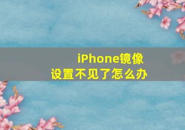 iPhone镜像设置不见了怎么办