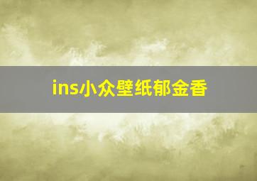 ins小众壁纸郁金香