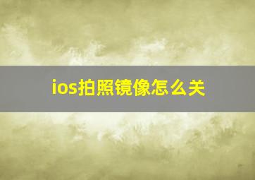 ios拍照镜像怎么关