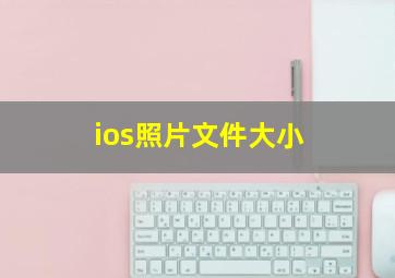 ios照片文件大小