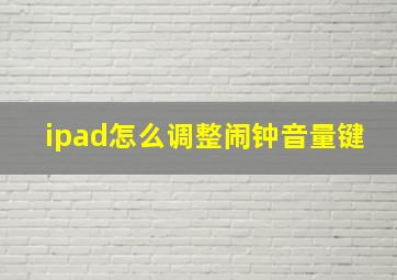 ipad怎么调整闹钟音量键