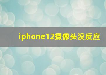 iphone12摄像头没反应