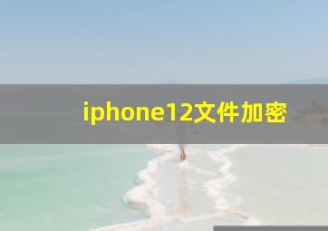 iphone12文件加密