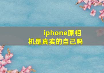 iphone原相机是真实的自己吗