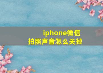 iphone微信拍照声音怎么关掉