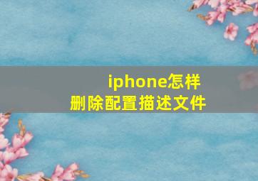 iphone怎样删除配置描述文件