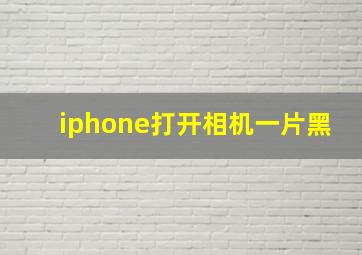 iphone打开相机一片黑