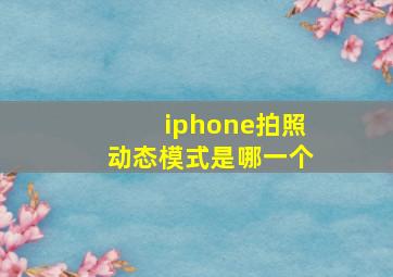 iphone拍照动态模式是哪一个