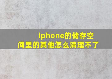 iphone的储存空间里的其他怎么清理不了