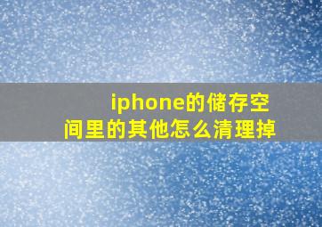 iphone的储存空间里的其他怎么清理掉