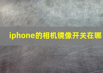 iphone的相机镜像开关在哪