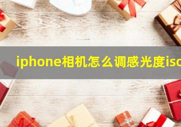 iphone相机怎么调感光度iso