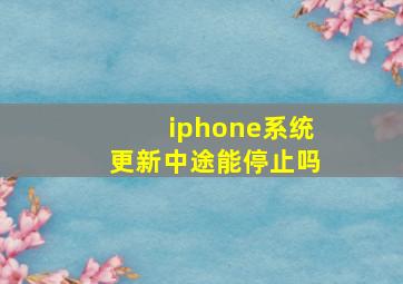 iphone系统更新中途能停止吗