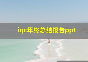 iqc年终总结报告ppt