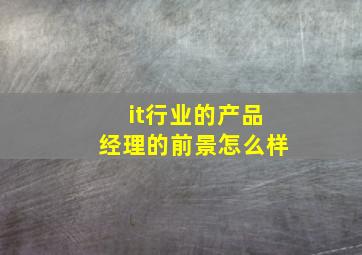 it行业的产品经理的前景怎么样