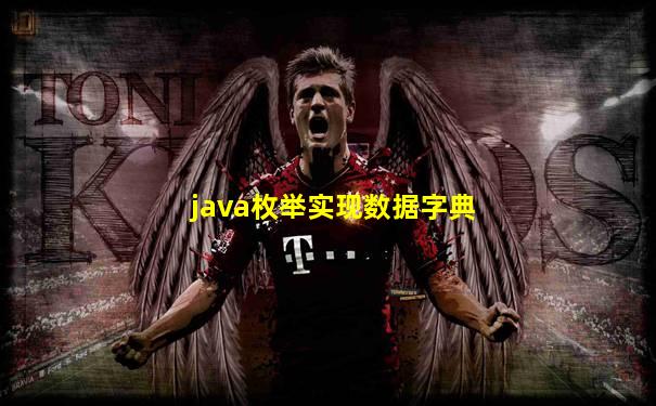 java枚举实现数据字典
