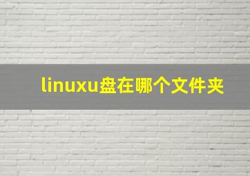 linuxu盘在哪个文件夹