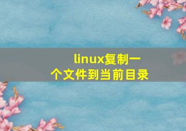 linux复制一个文件到当前目录