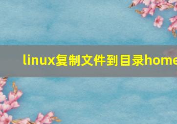 linux复制文件到目录home