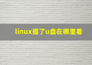 linux插了u盘在哪里看