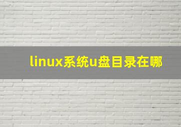 linux系统u盘目录在哪