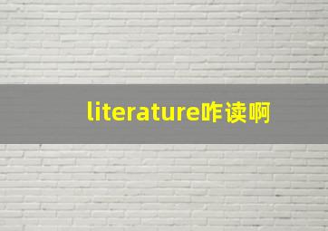 literature咋读啊