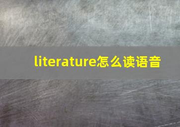 literature怎么读语音