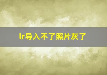 lr导入不了照片灰了